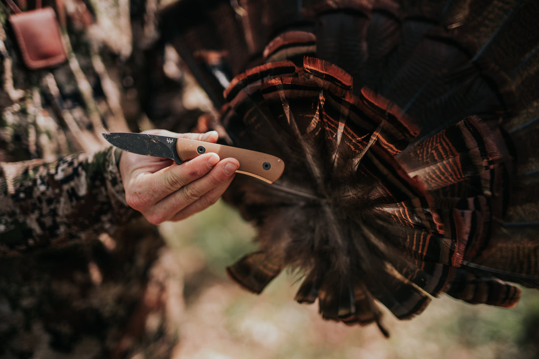 WKC Radio: Turkey Tracks