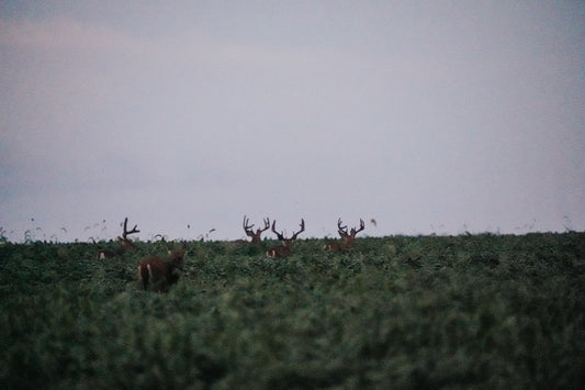 Getting Ready For Deer Season