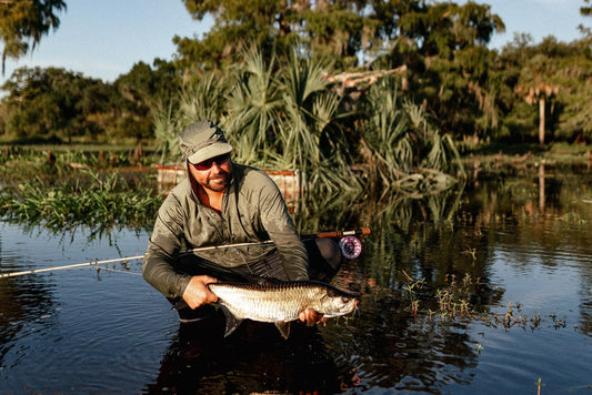 Tarpon From The Duck Blind