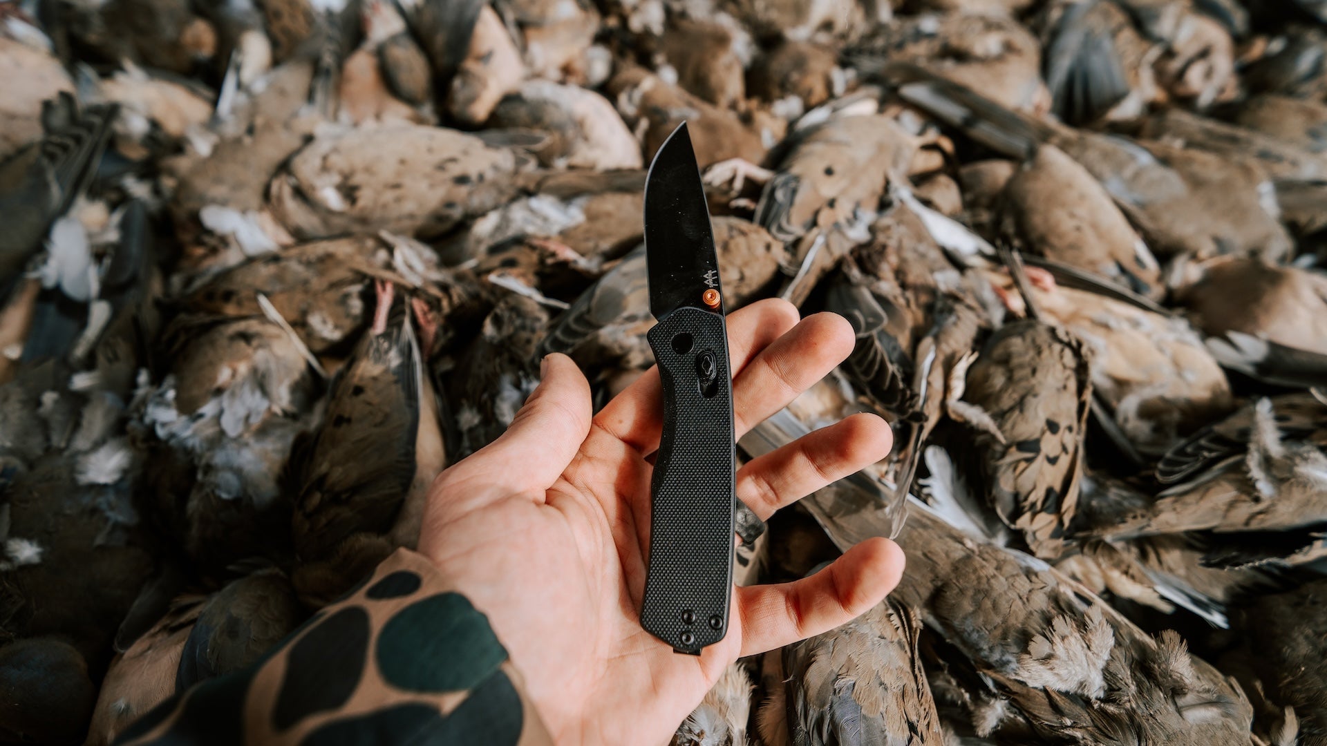 Folding Knife 6.5