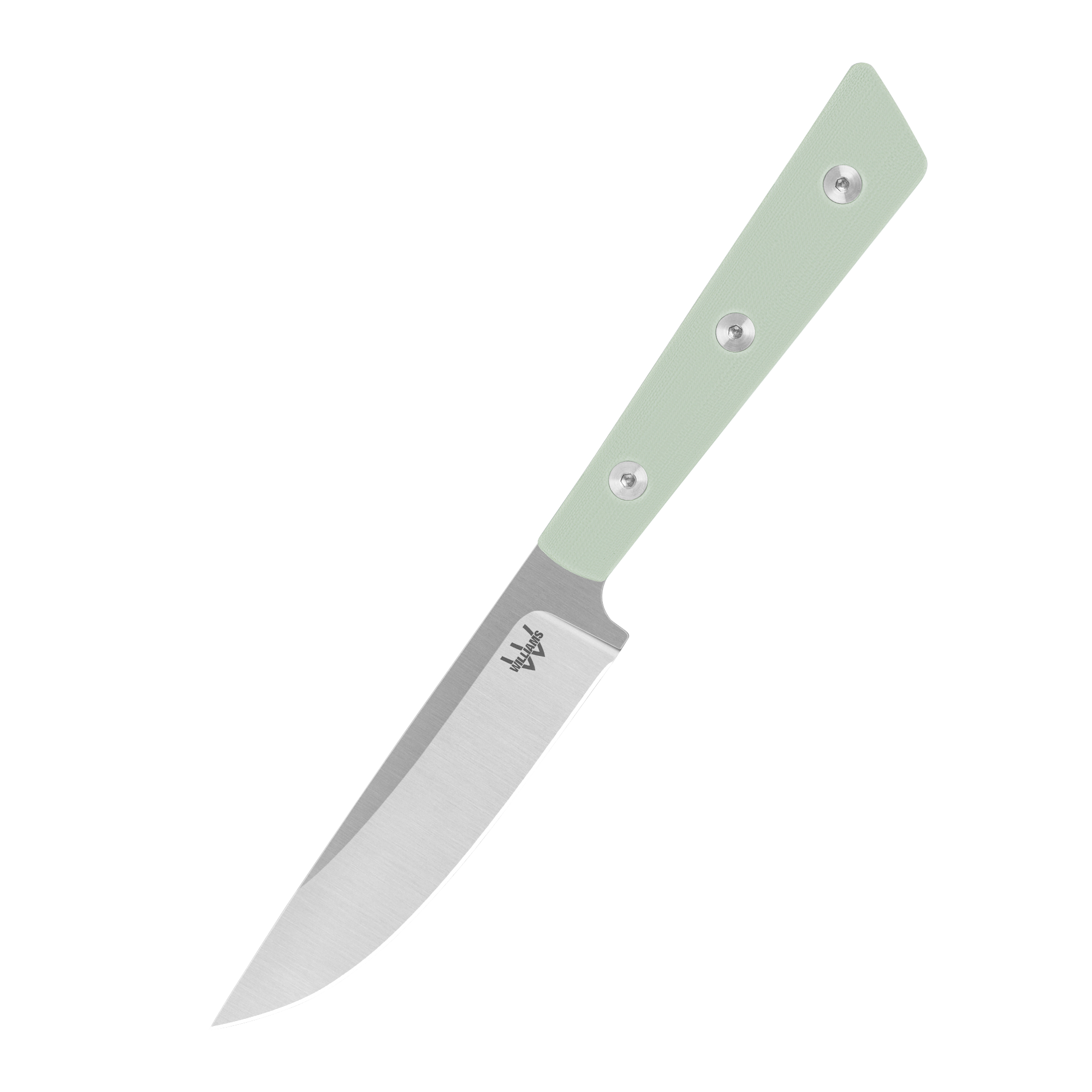 Steak Knife 4 Piece Set - Seafoam