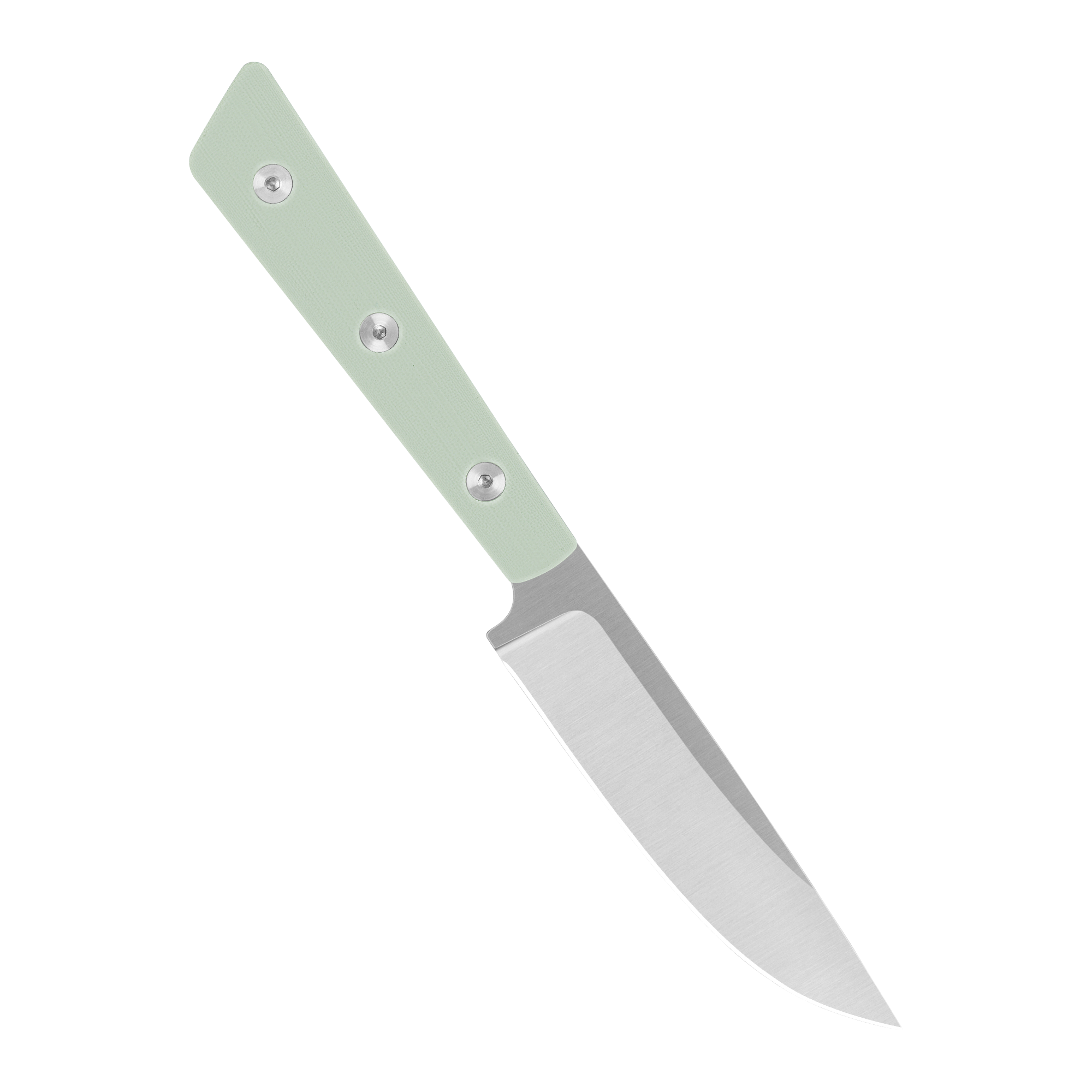 Steak Knife 4 Piece Set - Seafoam