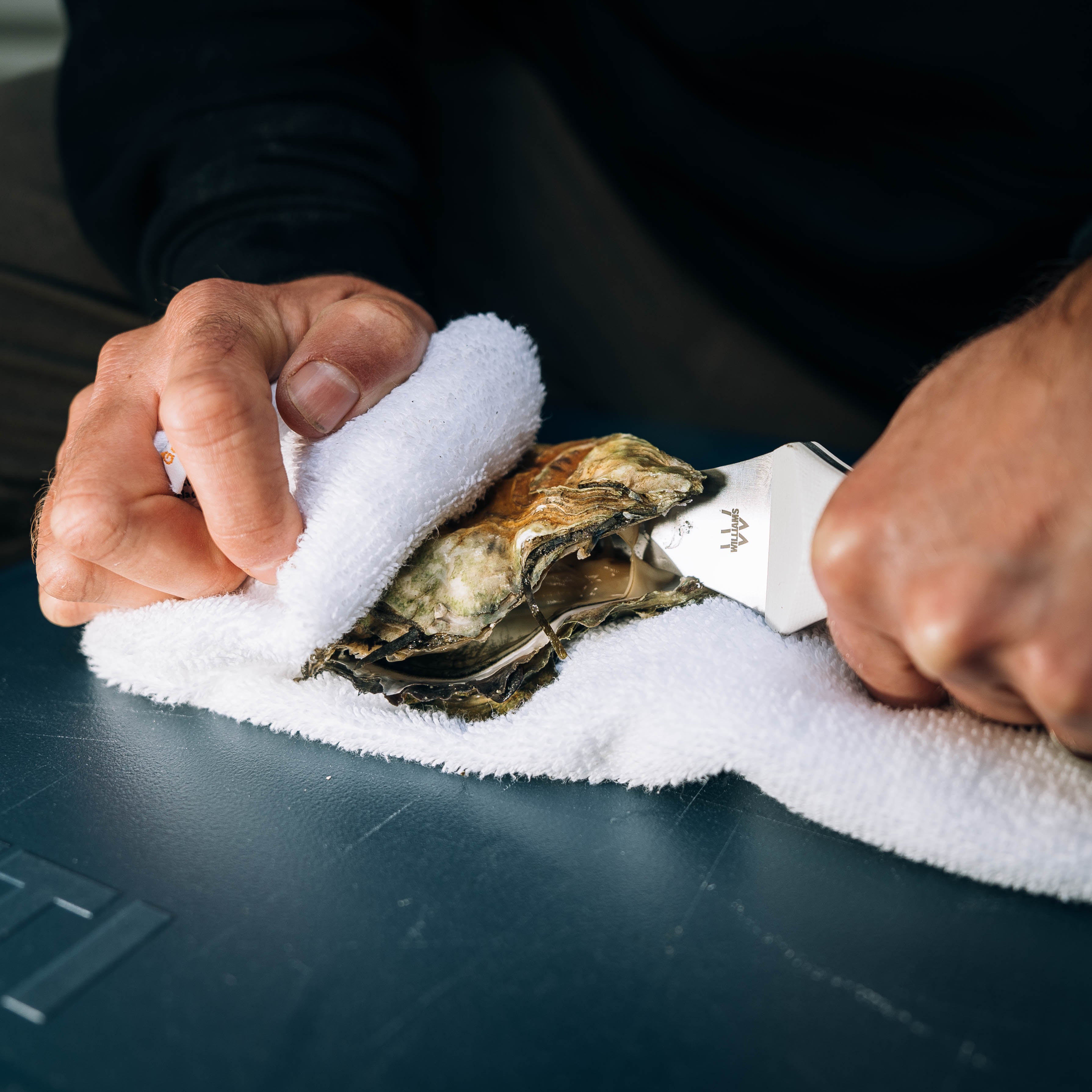 Oyster